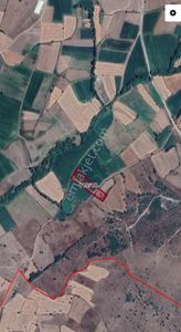Arsa-Tarla