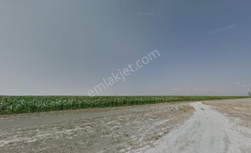 Arsa-Tarla
