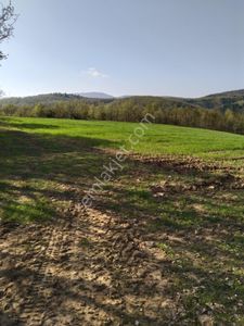 Arsa-Tarla