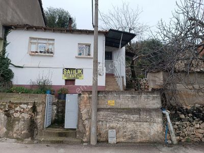 Arsa-Tarla
