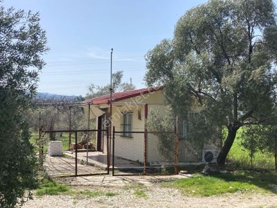 Ege'nin Kalbinde, Denize Yakın, Yaşama Hazır 17.350 M2 Tarla!