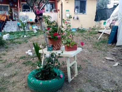 Konut-Yazlık