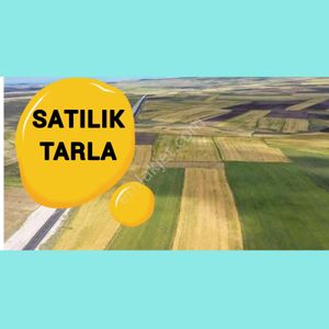 Arsa-Tarla