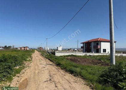 Arsa-Konut İmarlı