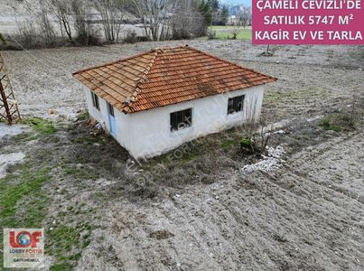 Arsa-Tarla