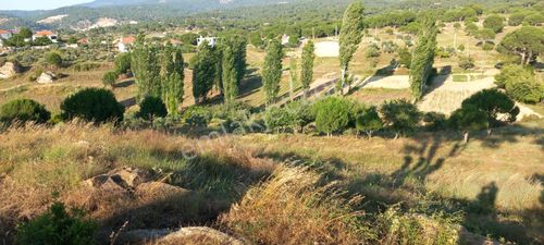 Arsa-Tarla