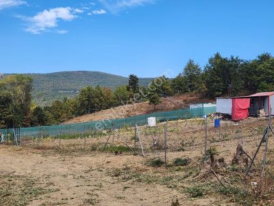 Arsa-Tarla