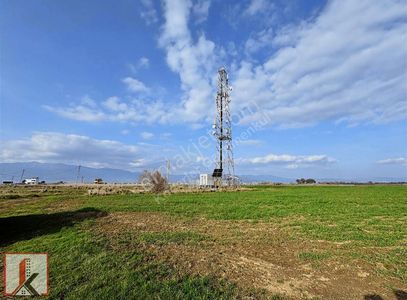Arsa-Konut İmarlı