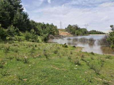 Arsa-Tarla