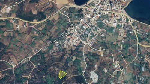 Arsa-Tarla