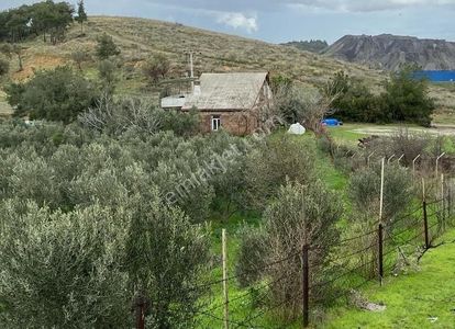 Arsa-Tarla