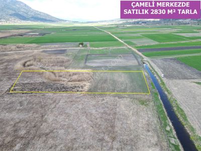 Arsa-Tarla