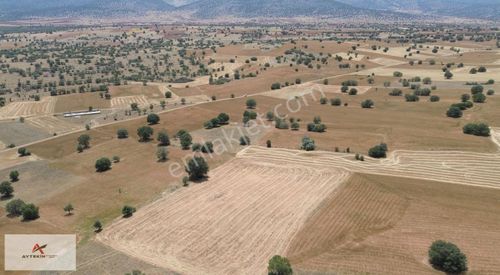 Arsa-Tarla