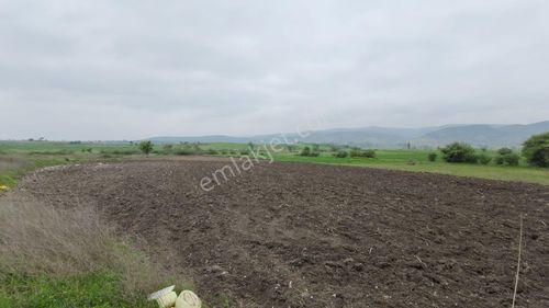 Arsa-Tarla
