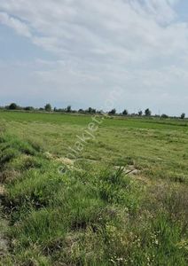 Arsa-Tarla