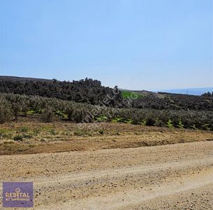 Arsa-Tarla