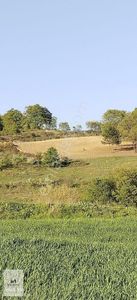 Arsa-Tarla