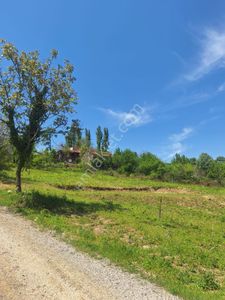 Arsa-Bağ & Bahçe