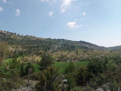 Arsa-Tarla