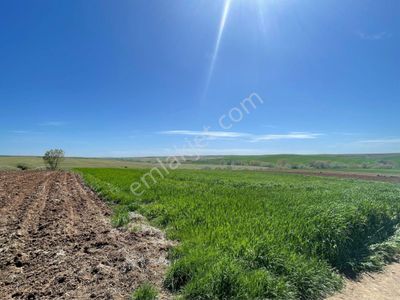 Arsa-Tarla