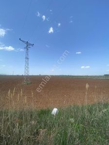 Arsa-Tarla