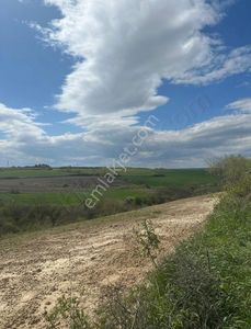 Arsa-Tarla