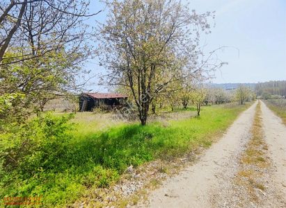 Arsa-Tarla