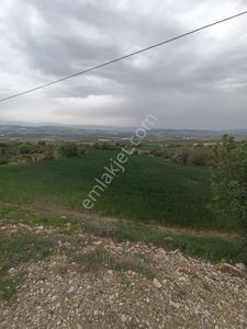 Arsa-Tarla
