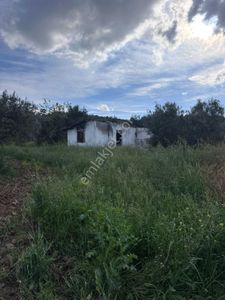 Arsa-Tarla