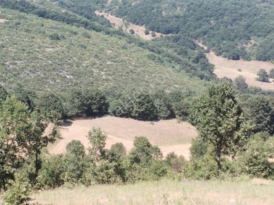 Arsa-Tarla