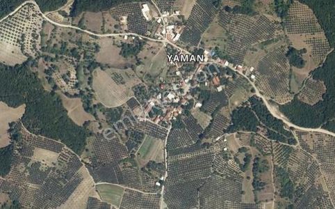 Arsa-Tarla