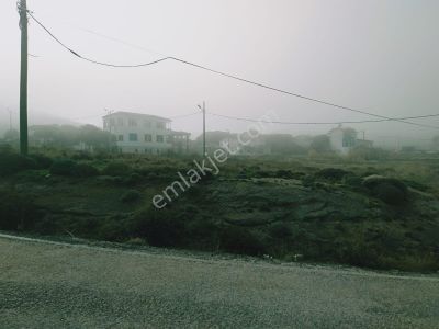 Arsa-Bağ & Bahçe