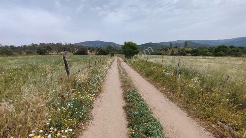 Arsa-Tarla