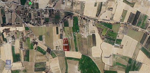 Arsa-Tarla