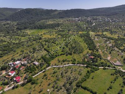 Arsa-Tarla