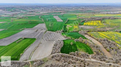 Arsa-Tarla