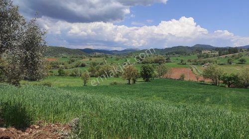 Arsa-Tarla