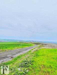 Arsa-Tarla