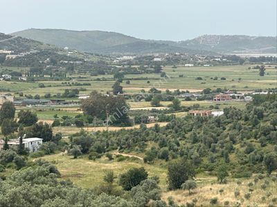 Arsa-Tarla