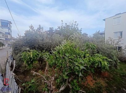 Arsa-Villa İmarlı
