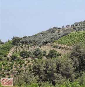 Arsa-Tarla