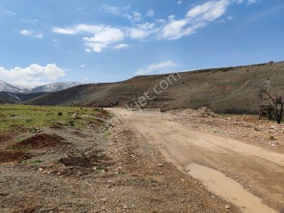 Arsa-Arazi