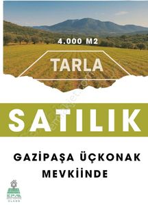 Arsa-Tarla