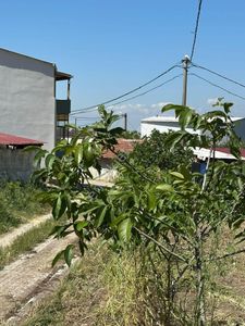 Arsa-Konut İmarlı