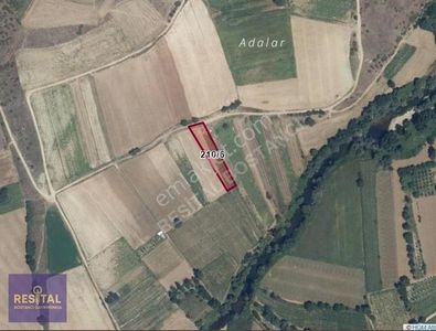Arsa-Tarla