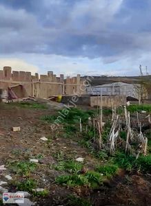 Arsa-Tarla