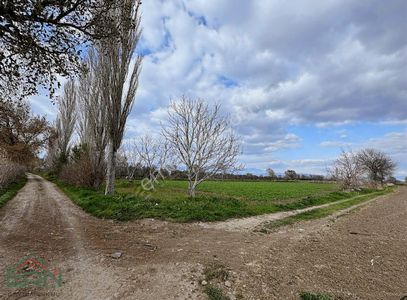 Arsa-Tarla