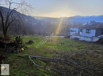 Arsa-Konut İmarlı