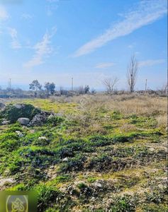 Arsa-Konut İmarlı