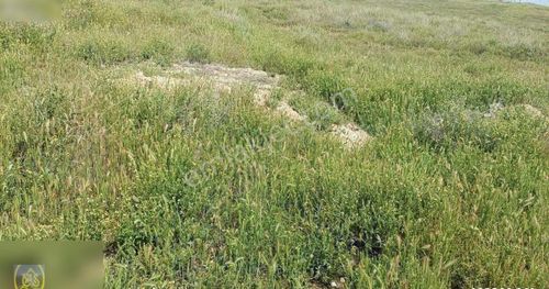 Arsa-Tarla